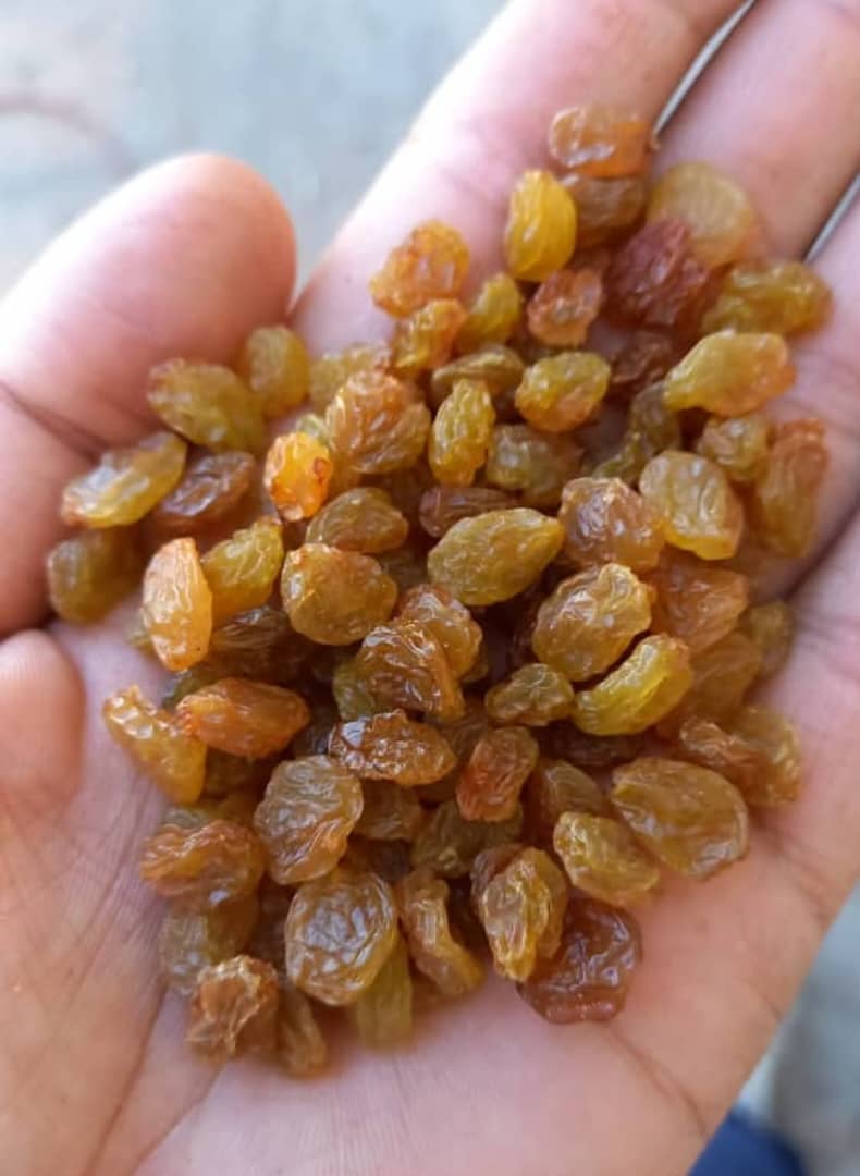 کشمش ملایر شیره انگور اصل